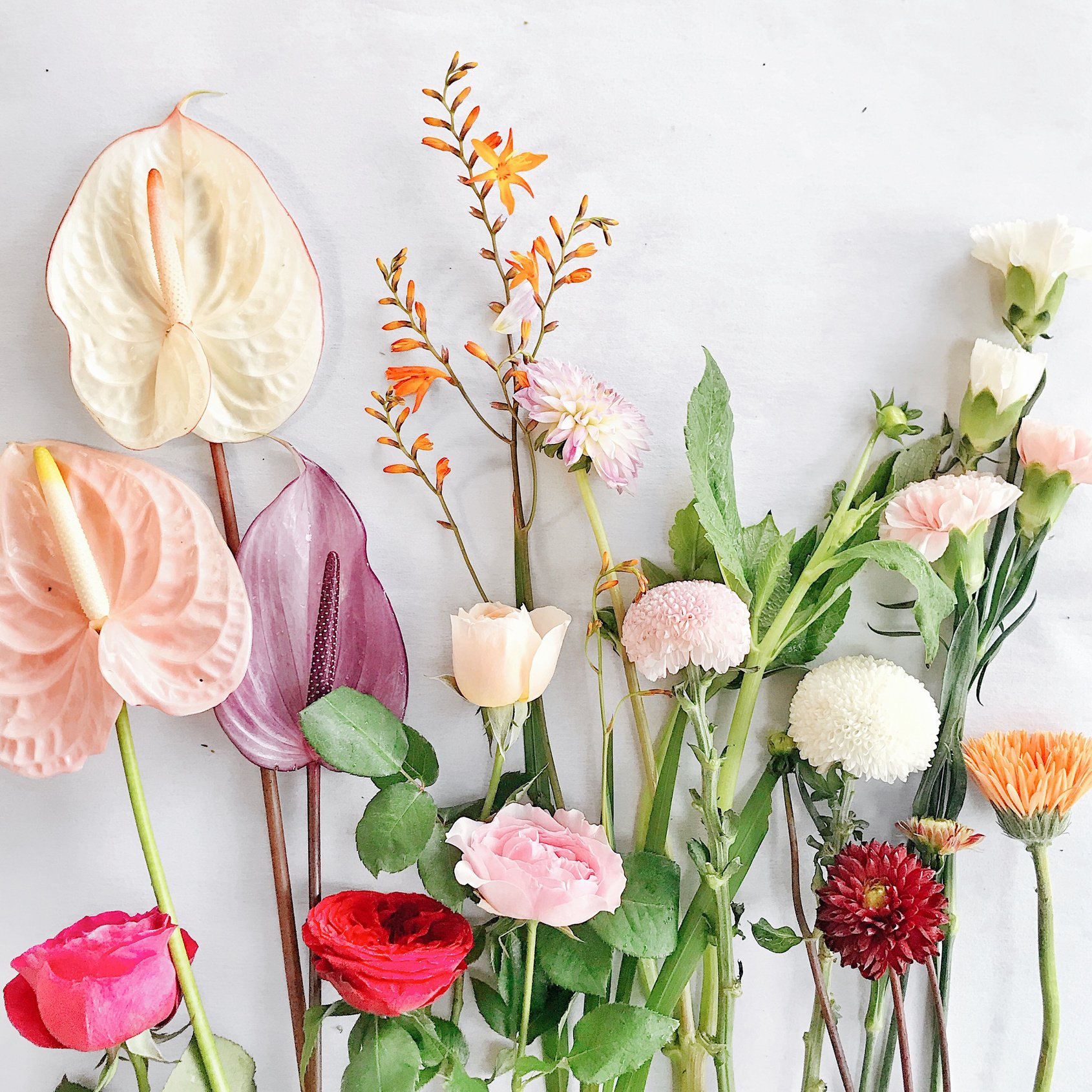 Assorted Colorful Flowers